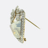 Edwardian Moonstone and Diamond Brooch