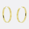 Cartier Large Model LOVE Earrings
