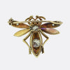 Victorian Ruby and Diamond Fly Brooch