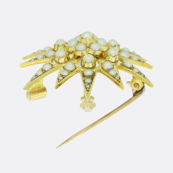 Victorian Pearl Star Pendant Brooch