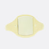 Vintage Spinning Masonic Signet Ring